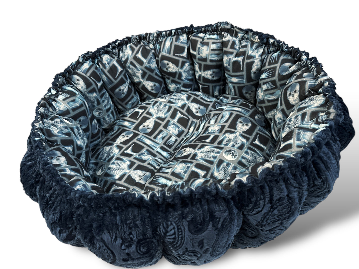 X-Ray Nest Bed