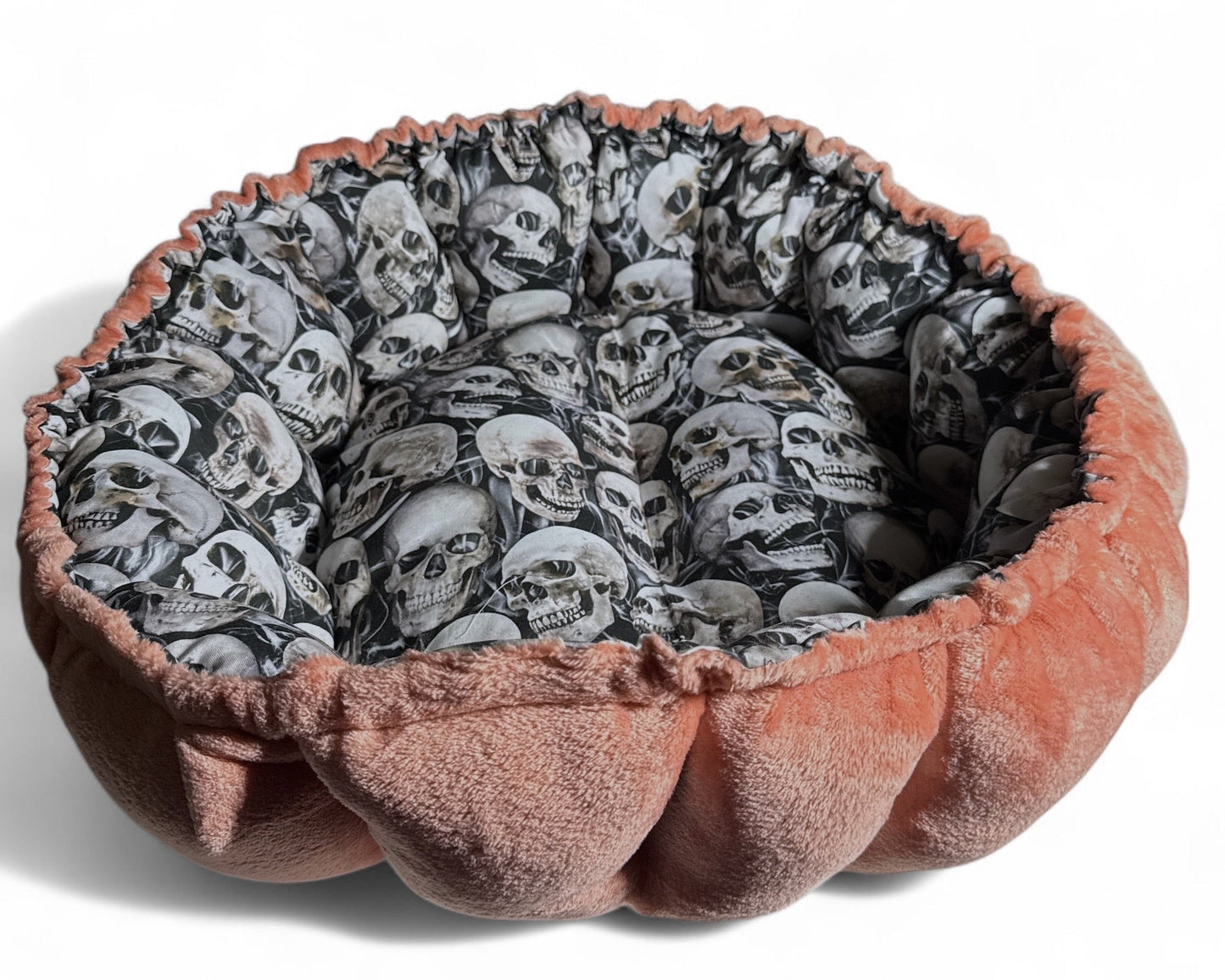 Facial Disgracial Nest Bed