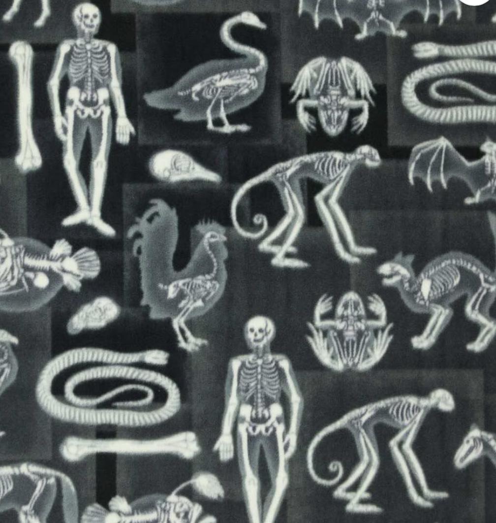 Skeletal Structures Nest Bed