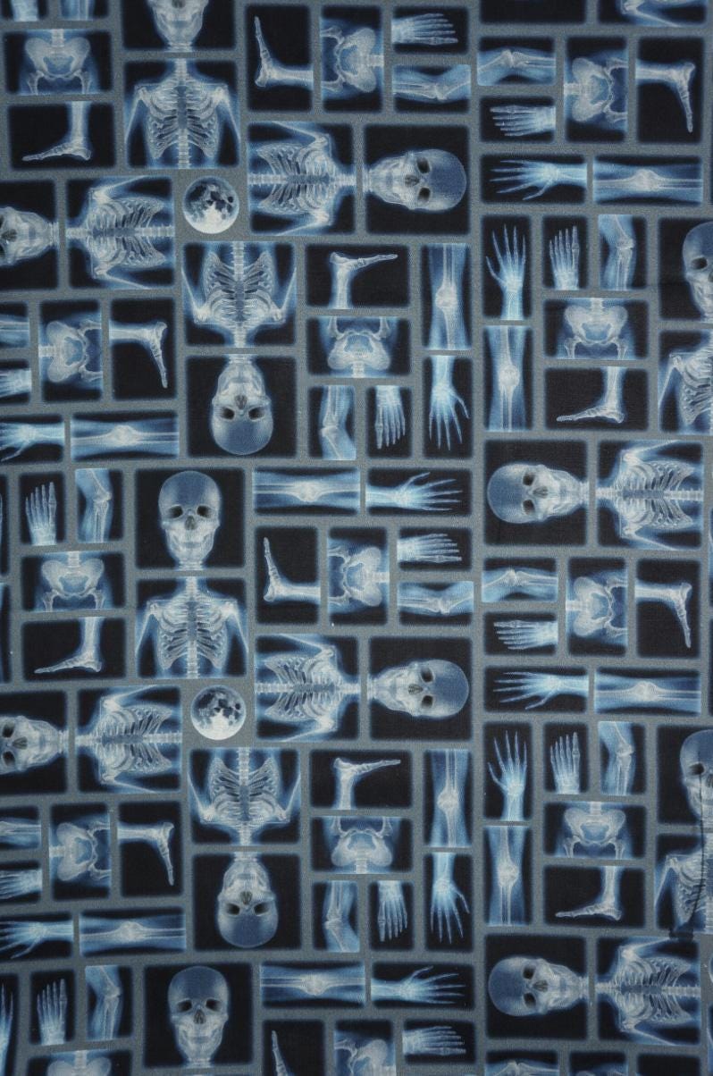 X-Ray Snuggle Sack Bed