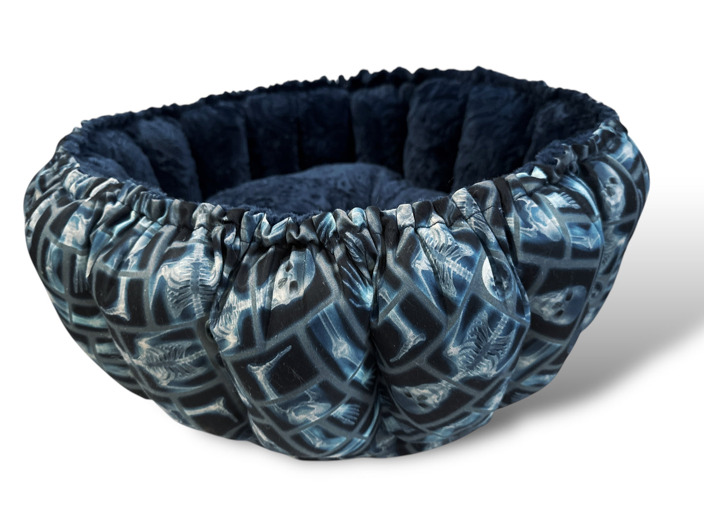 X-Ray Nest Bed